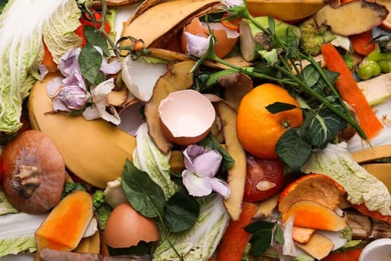 Food waste