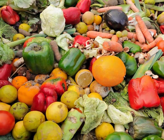 Thrown away food by office workers which could charge a phone 13 times